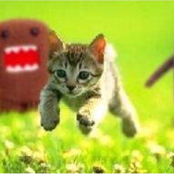 Meet your Posher, Posh - Picture 1 of 1